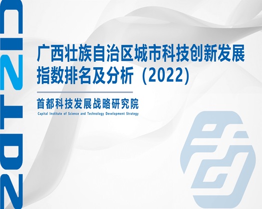 大几八操亚洲女人屄视频【成果发布】广西壮族自治区城市科技创新发展指数排名及分析（2022）